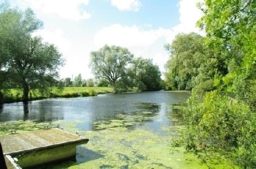 Le Cottage De L'Heron Moulle エクステリア 写真